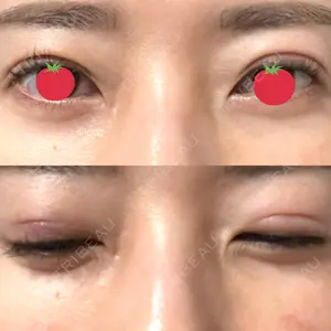 口コミ