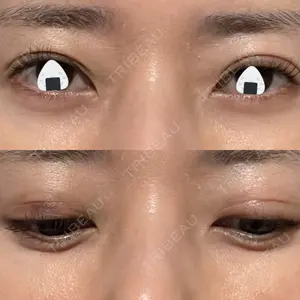口コミ