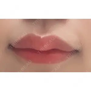 口コミ
