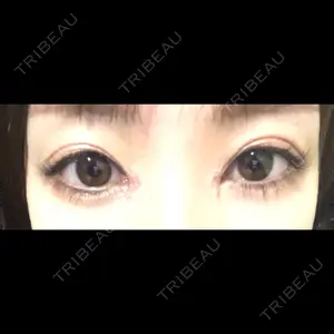 口コミ