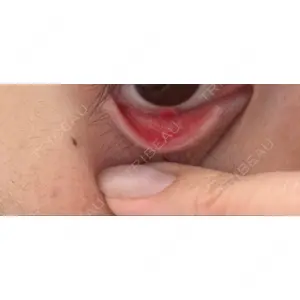 口コミ