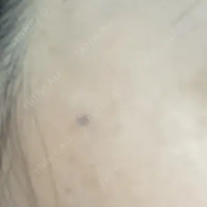口コミ