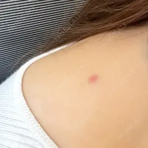 口コミ