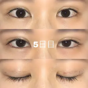 口コミ