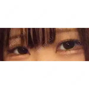 口コミ