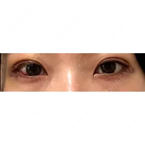 口コミ