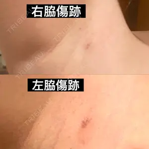 口コミ