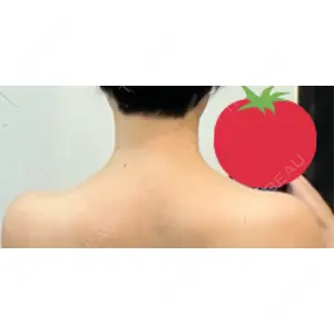 口コミ