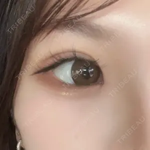 口コミ