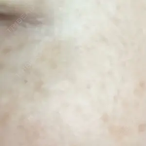 口コミ