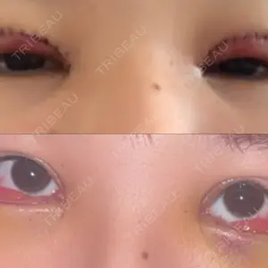 口コミ