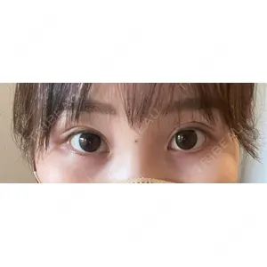 口コミ