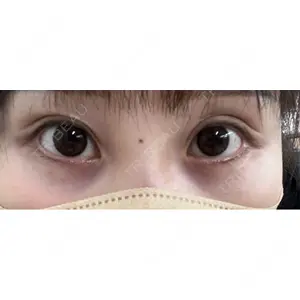 口コミ