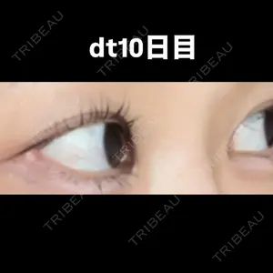 口コミ