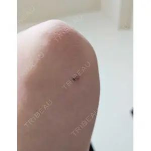 口コミ