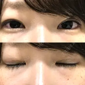 口コミ