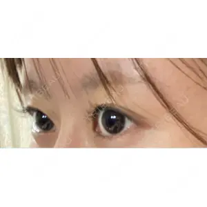 口コミ