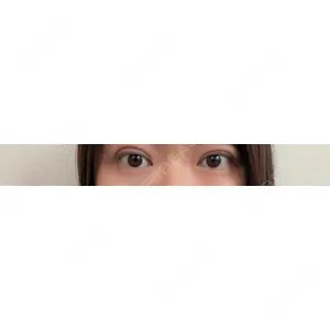 口コミ
