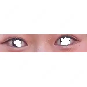 口コミ