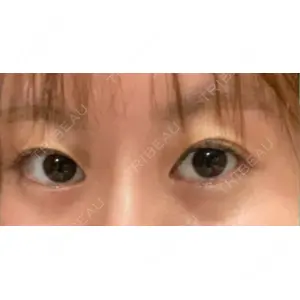 口コミ