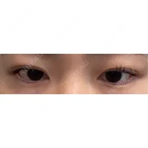 口コミ