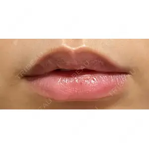 口コミ