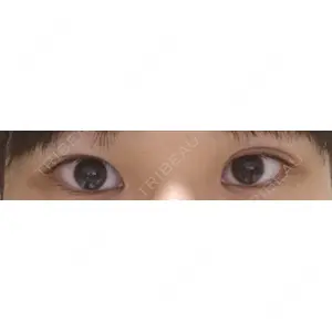 口コミ
