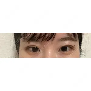 口コミ