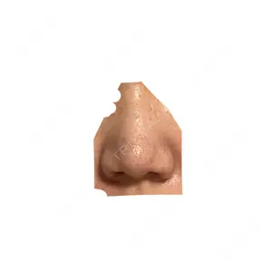 口コミ