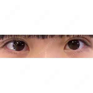 口コミ
