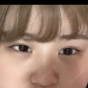 口コミ