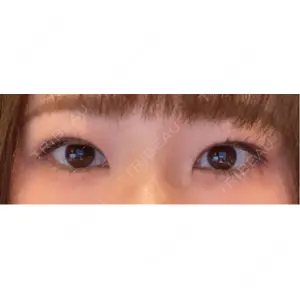 口コミ