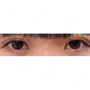 口コミ