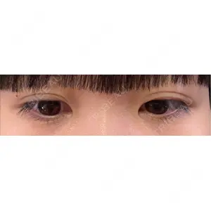 口コミ