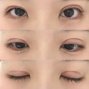 口コミ