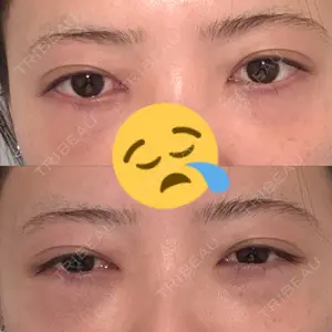 口コミ