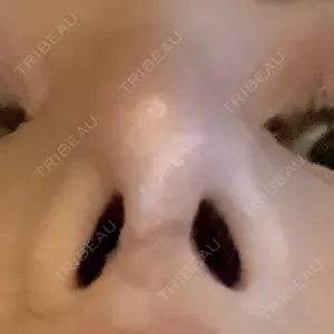 口コミ