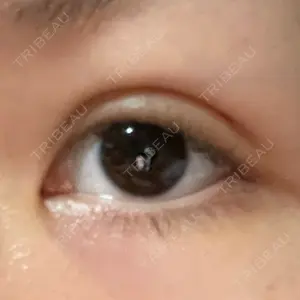 口コミ
