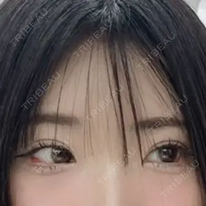 口コミ