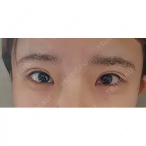 口コミ