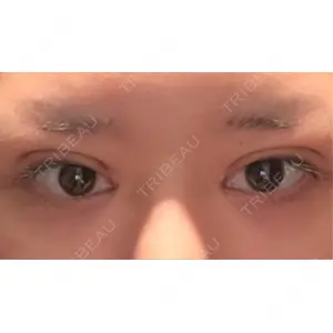 口コミ