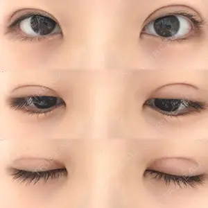 口コミ