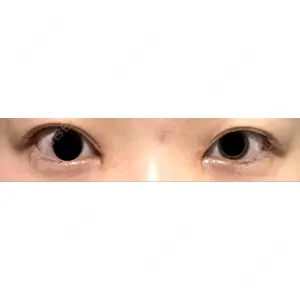 口コミ