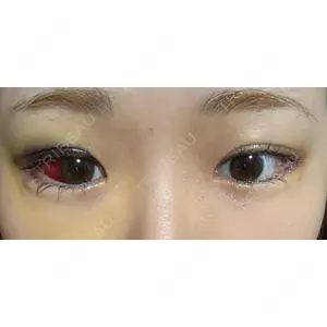口コミ