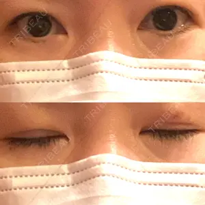 口コミ