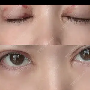 口コミ