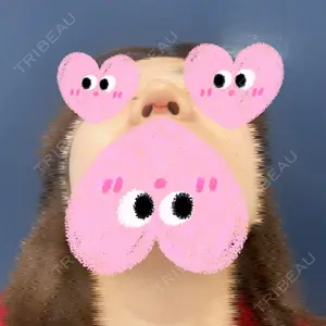 口コミ