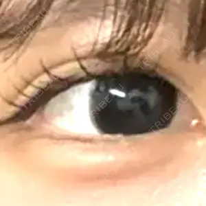 口コミ