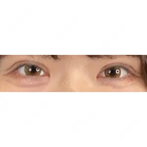口コミ