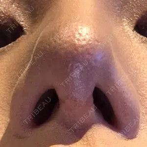 口コミ